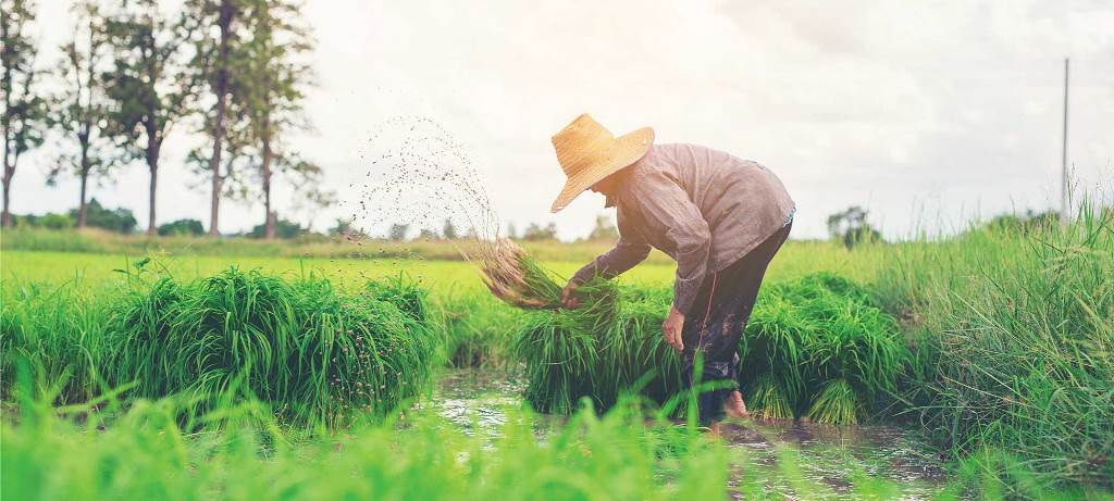 Ketahui dengan Baik Mekanisme Pajak Atas Hasil Pertanian