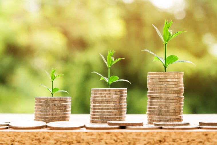 Apakah Bisa Mengajukan Permohonan Pemberian Imbalan Bunga dalam Sistem Coretax?