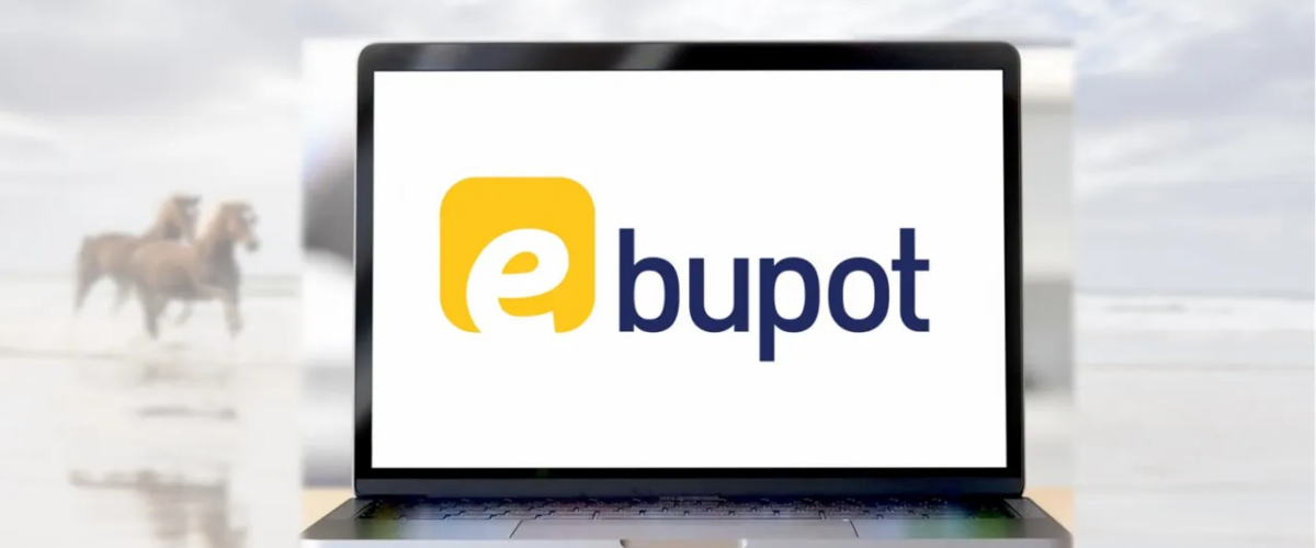 Panduan Lengkap Memperoleh Sertifikat Elektronik e-Bupot PPh 23/26